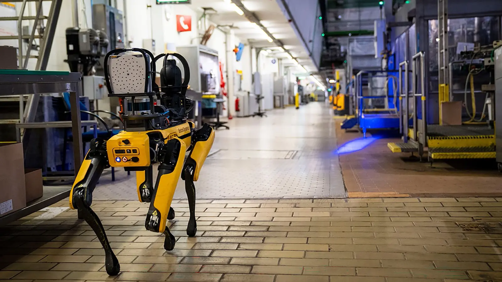 Ein Boston Dynamic Roboter